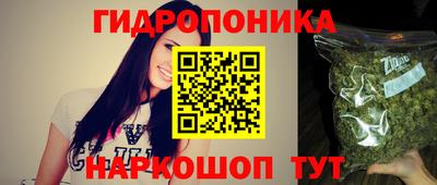 бошки Бийск