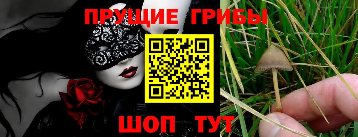 наркошоп  Вход с VPN  Озёры  Галлюциногенные грибы Magic Shrooms  Галлюциногенные грибы мицелий 